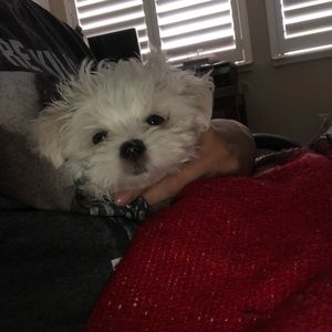 Meet your Posher, Jenna